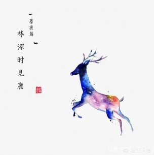 “林深时见鹿，海蓝时见鲸”是什么意思？