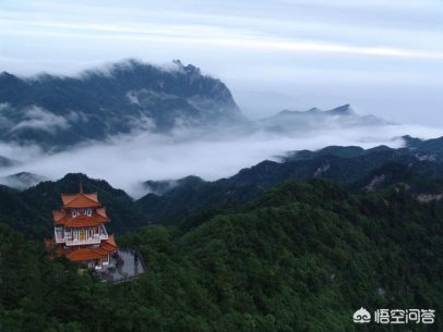 郑州蝶湖森林公园要门票吗？