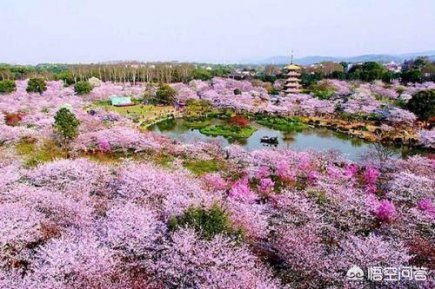 华中科技大学高层小区交通方便吗？附近的地铁站和公交站是什么？距离小区需