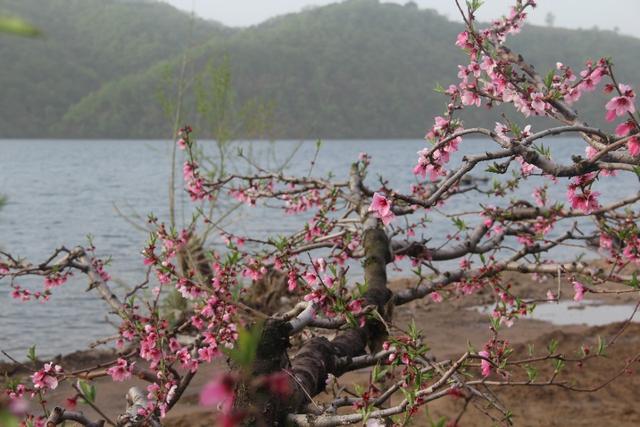 民宿带给你的第一感觉是什么？