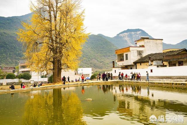 请问秋季广东旅游好去处？