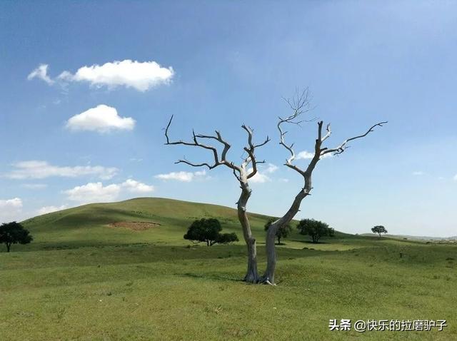 暑假带父母孩子去哪里旅游好？